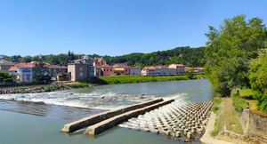 Naturopathe Chalon-sur-Saône